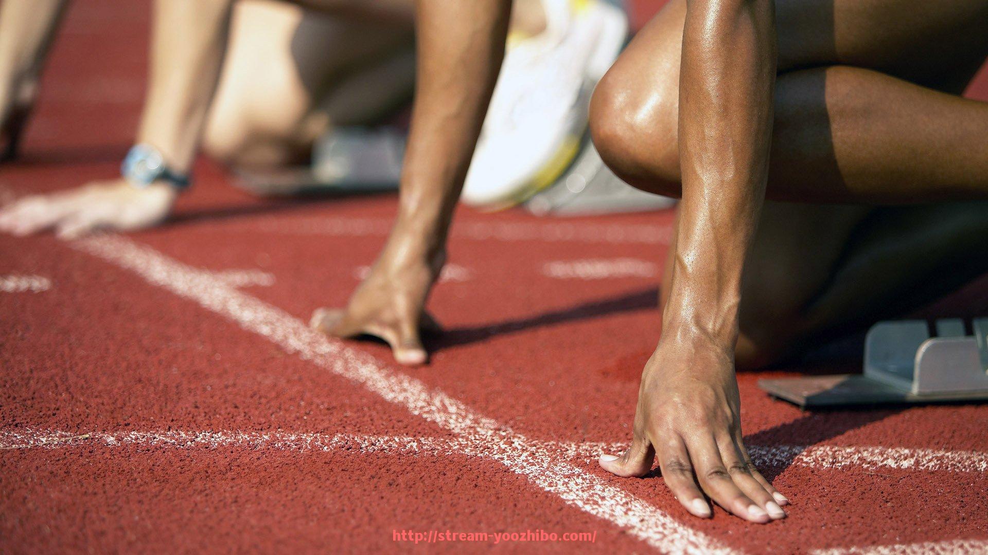 优直播-福建CBA球队卡米然比赛实况回顾及表现点评